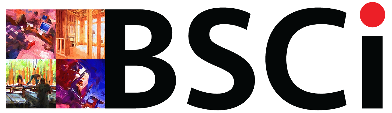 BSCi
